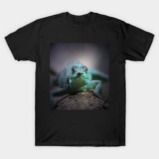 Plumed Basilisk T-Shirt